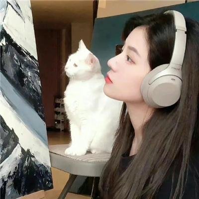 我的街区